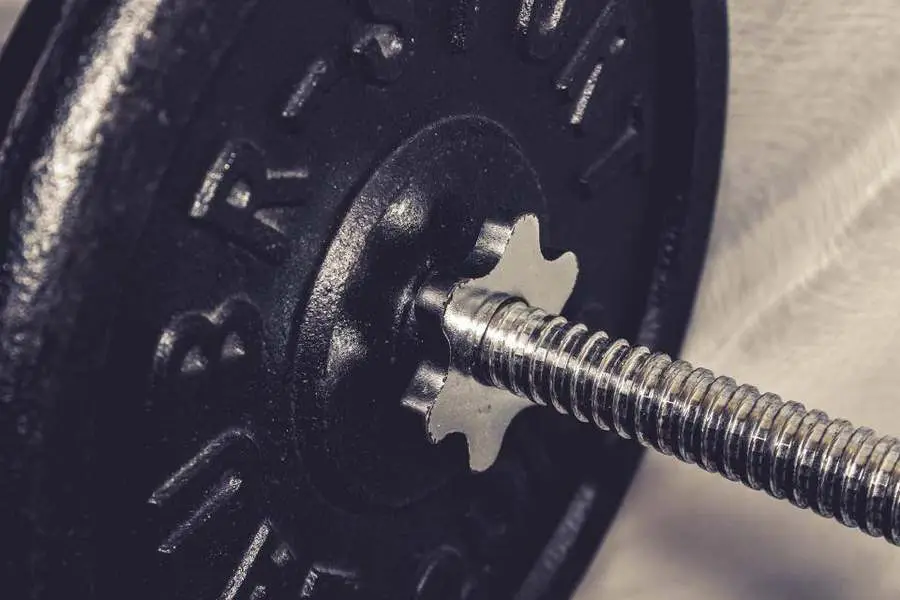 Strength 101: bar, rack, coach