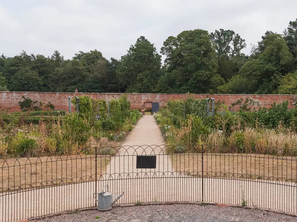 The same walk once planted