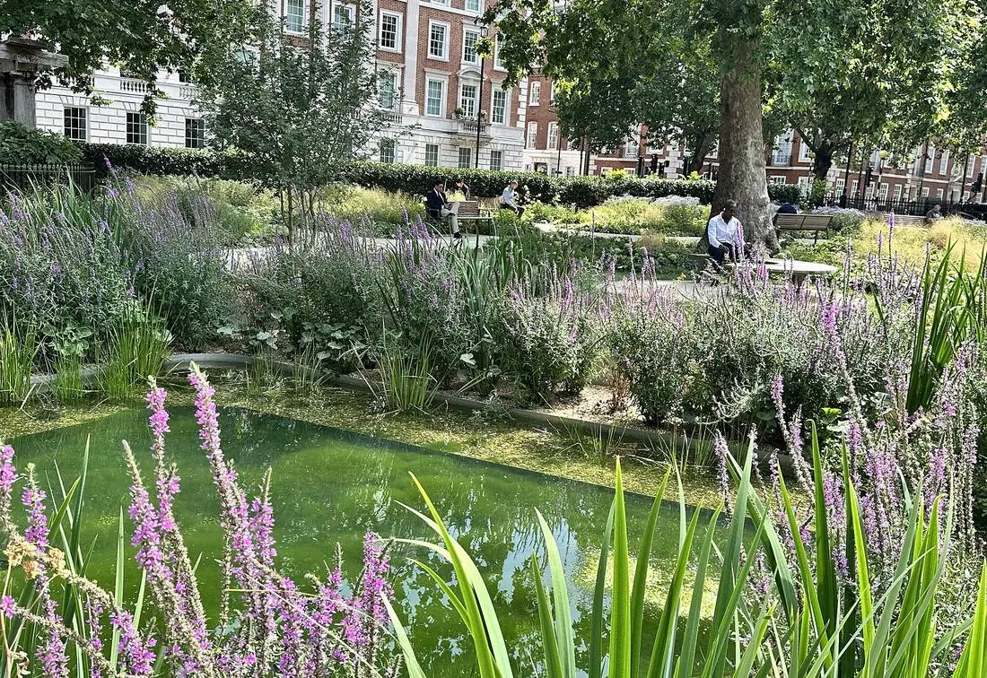 Fielden Square, London, 2023