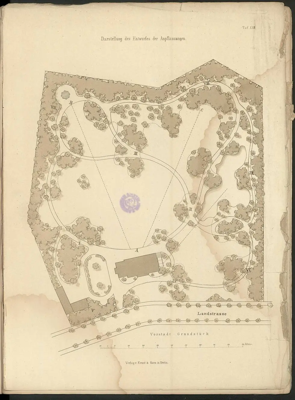Survey and layout, Hollow Lane, 1:200